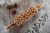 Mini rolling pin engraved in dogs' paws