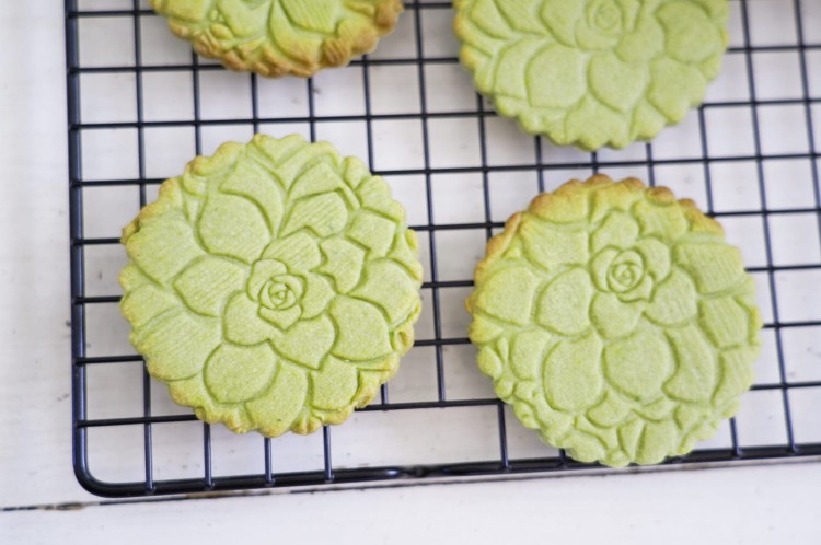 rolling pin for clay and salt dough cactus motif