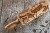 Mini engraved rolling pin with ocean creatures