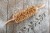 Mini rolling pin for cookies  - funny dogs from Mood for Wood