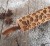 Mini rolling pin for cookies - from Mood for Wood