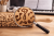 ChatGPT Image 1 kwi 2026, 10_57_42.png