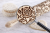 ChatGPT Image 24 mar 2026, 14_37_41.png