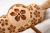 ChatGPT Image 24 mar 2026, 10_53_37.png