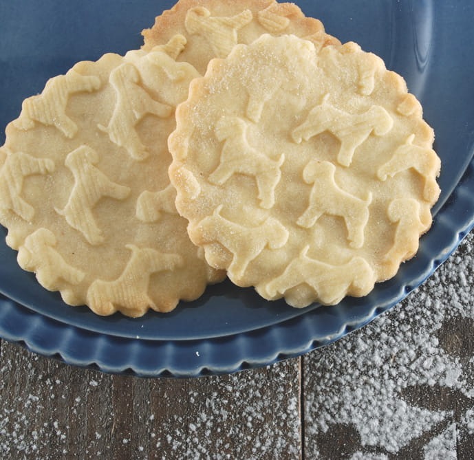 Embossed cookies  - Weaten Terrier design